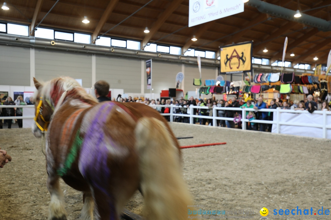 PFERD BODENSEE: Friedrichshafen am Bodensee, 17.02.2018