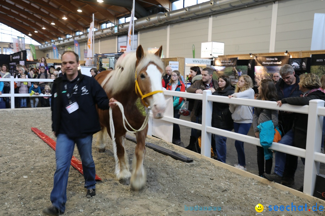 PFERD BODENSEE: Friedrichshafen am Bodensee, 17.02.2018