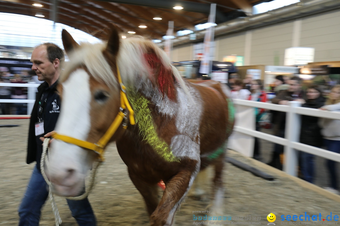 PFERD BODENSEE: Friedrichshafen am Bodensee, 17.02.2018