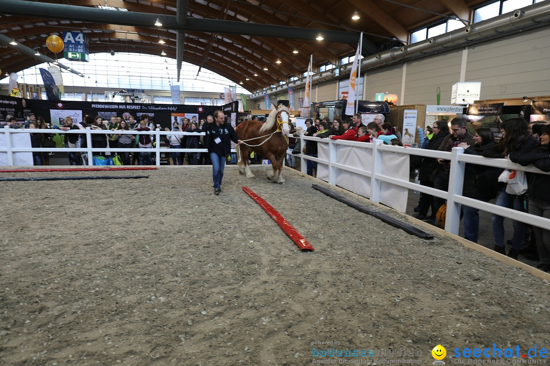 PFERD BODENSEE: Friedrichshafen am Bodensee, 17.02.2018