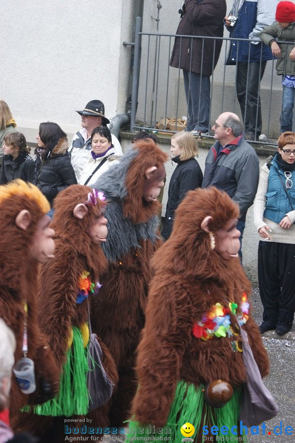 Umzug Seenarrentreffen: Liggeringen, 07.02.2010