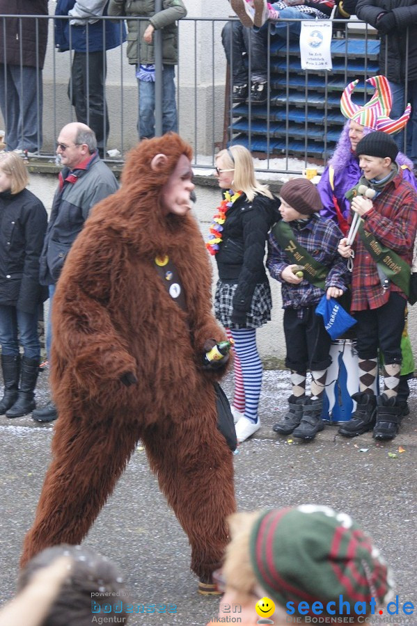 Umzug Seenarrentreffen: Liggeringen, 07.02.2010