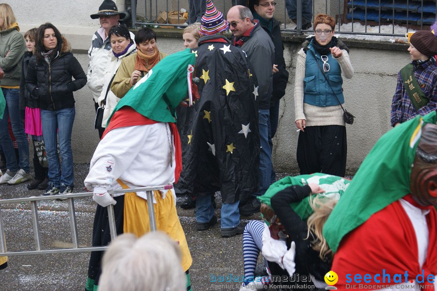 Umzug Seenarrentreffen: Liggeringen, 07.02.2010