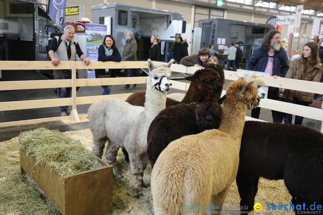 PFERD BODENSEE: Friedrichshafen am Bodensee, 17.02.2018