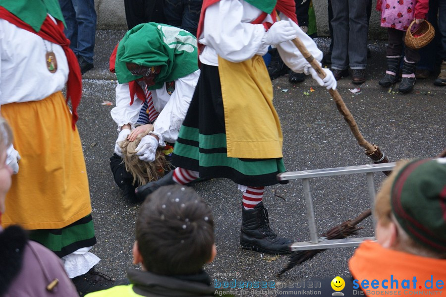 Umzug Seenarrentreffen: Liggeringen, 07.02.2010