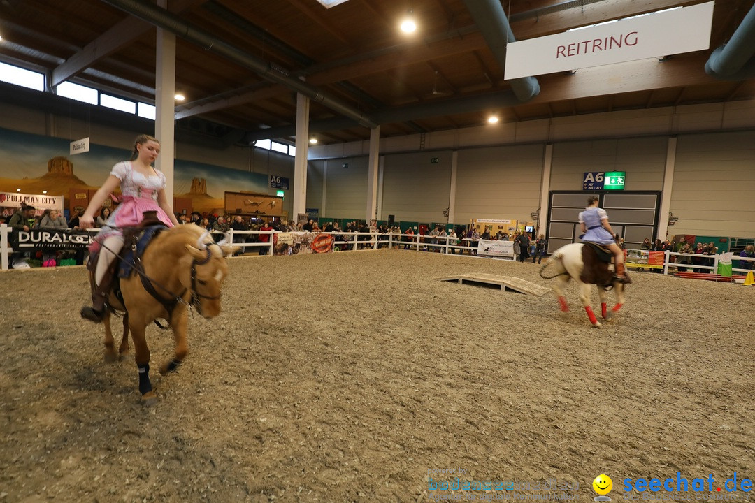 PFERD BODENSEE: Friedrichshafen am Bodensee, 17.02.2018