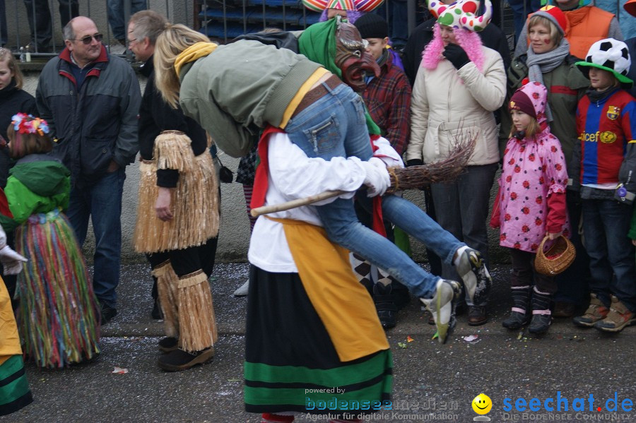 Umzug Seenarrentreffen: Liggeringen, 07.02.2010