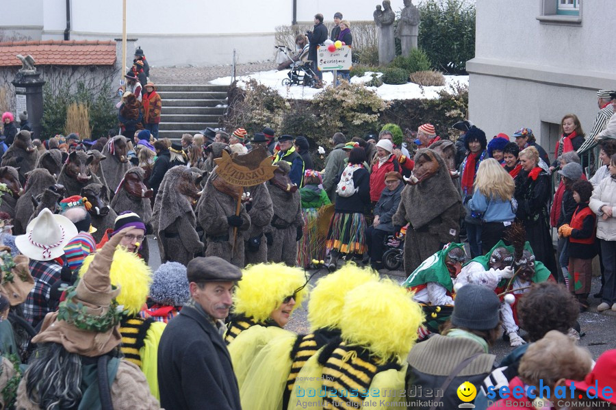 Umzug Seenarrentreffen: Liggeringen, 07.02.2010