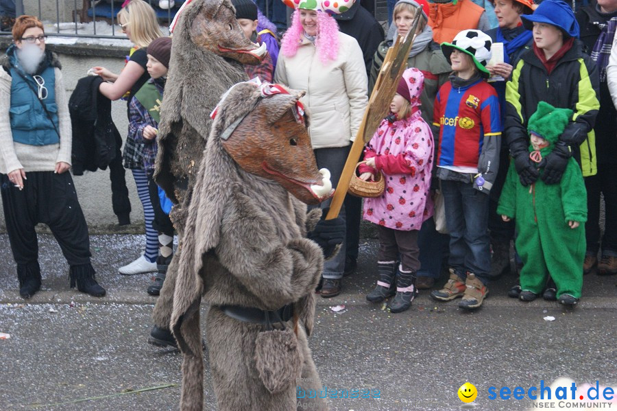 Umzug Seenarrentreffen: Liggeringen, 07.02.2010