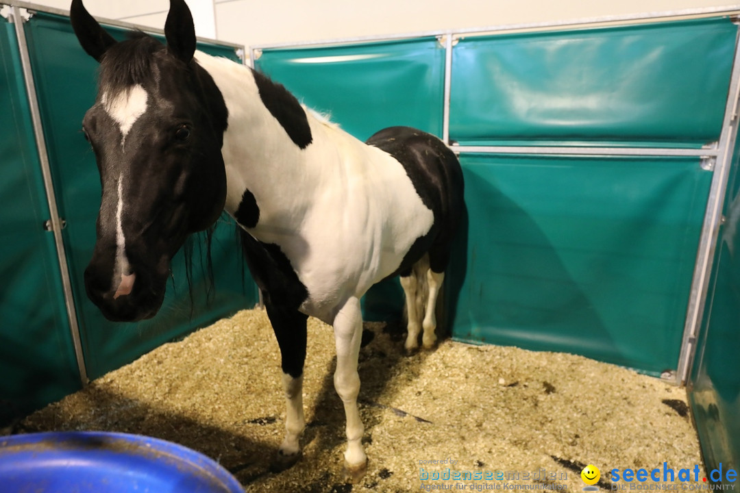 PFERD BODENSEE: Friedrichshafen am Bodensee, 17.02.2018