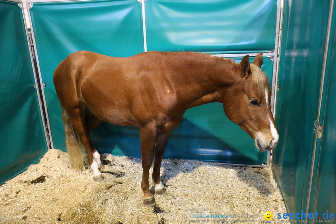 PFERD BODENSEE: Friedrichshafen am Bodensee, 17.02.2018