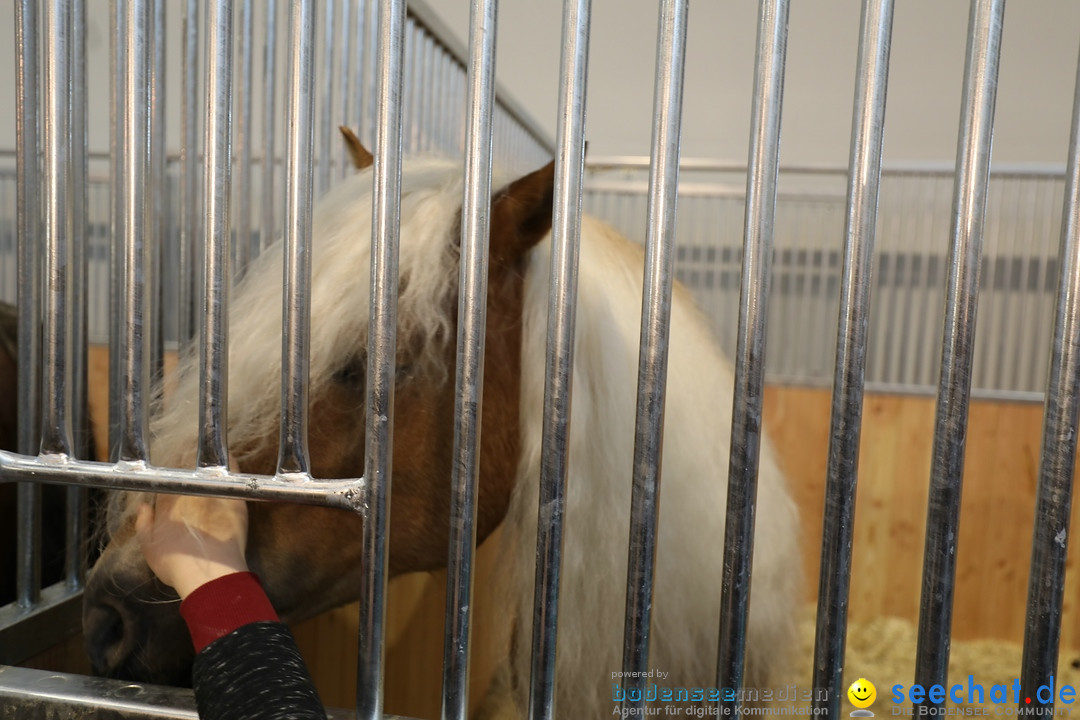 PFERD BODENSEE: Friedrichshafen am Bodensee, 17.02.2018