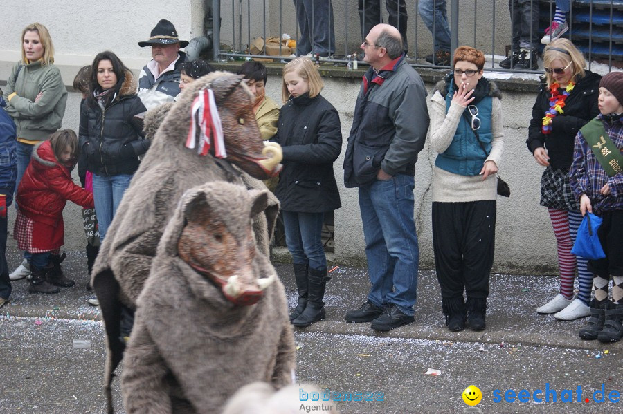 Umzug Seenarrentreffen: Liggeringen, 07.02.2010