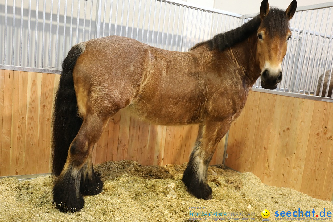 PFERD BODENSEE: Friedrichshafen am Bodensee, 17.02.2018