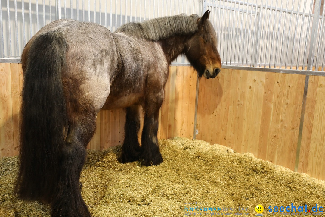 PFERD BODENSEE: Friedrichshafen am Bodensee, 17.02.2018