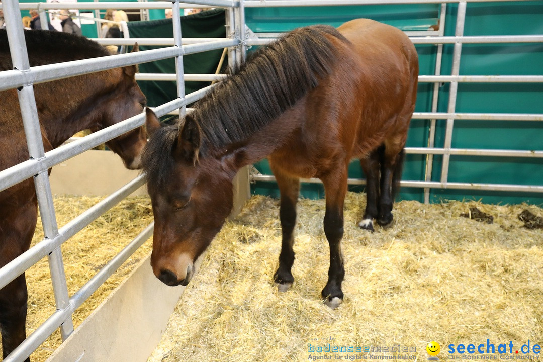 PFERD BODENSEE: Friedrichshafen am Bodensee, 17.02.2018