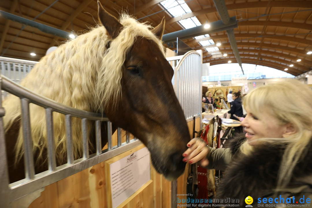 PFERD BODENSEE: Friedrichshafen am Bodensee, 17.02.2018