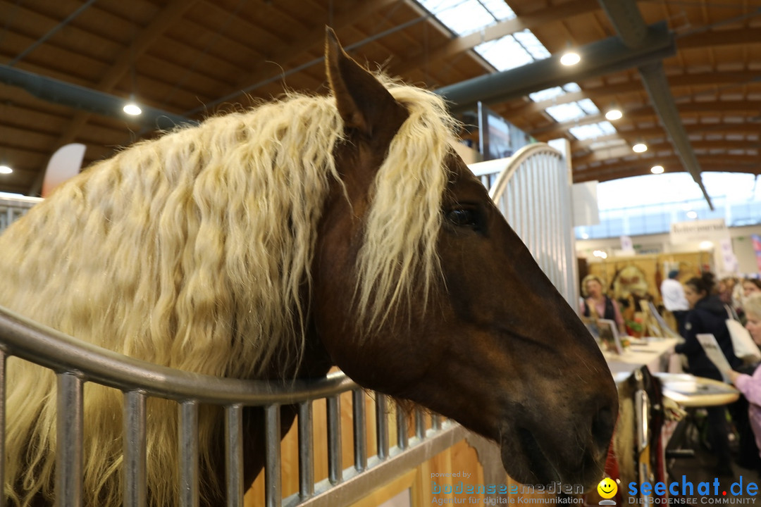 PFERD BODENSEE: Friedrichshafen am Bodensee, 17.02.2018