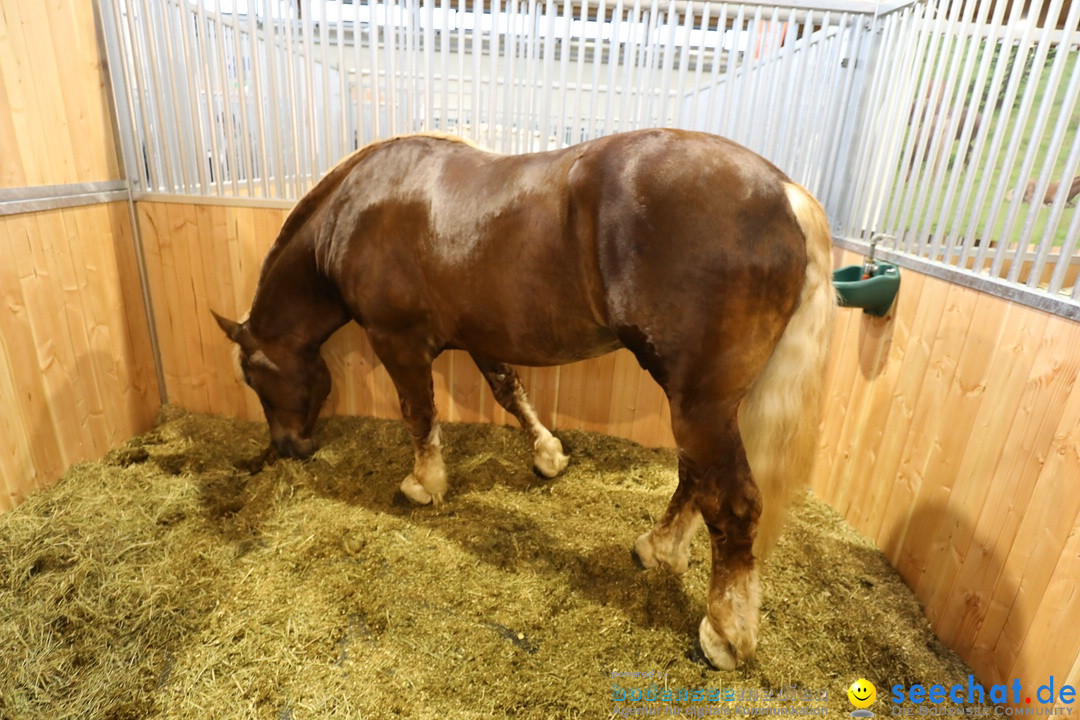 PFERD BODENSEE: Friedrichshafen am Bodensee, 17.02.2018