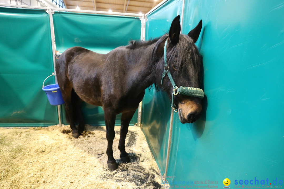 PFERD BODENSEE: Friedrichshafen am Bodensee, 17.02.2018