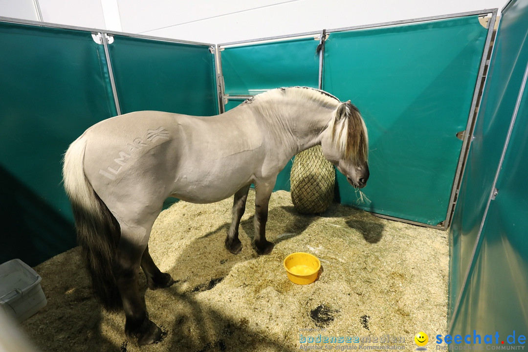 PFERD BODENSEE: Friedrichshafen am Bodensee, 17.02.2018