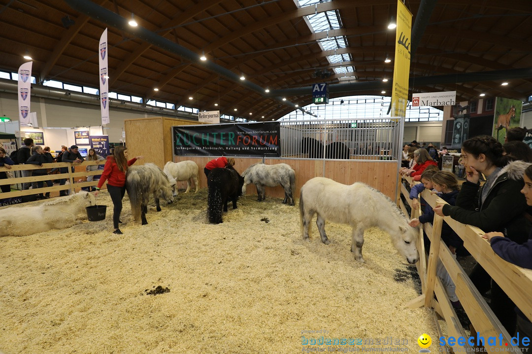 PFERD BODENSEE: Friedrichshafen am Bodensee, 17.02.2018