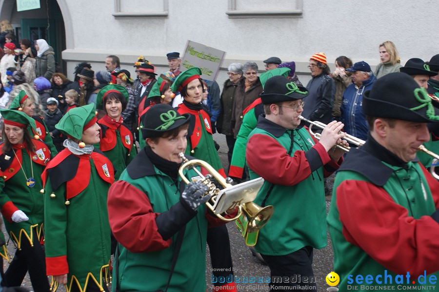 Umzug Seenarrentreffen: Liggeringen, 07.02.2010