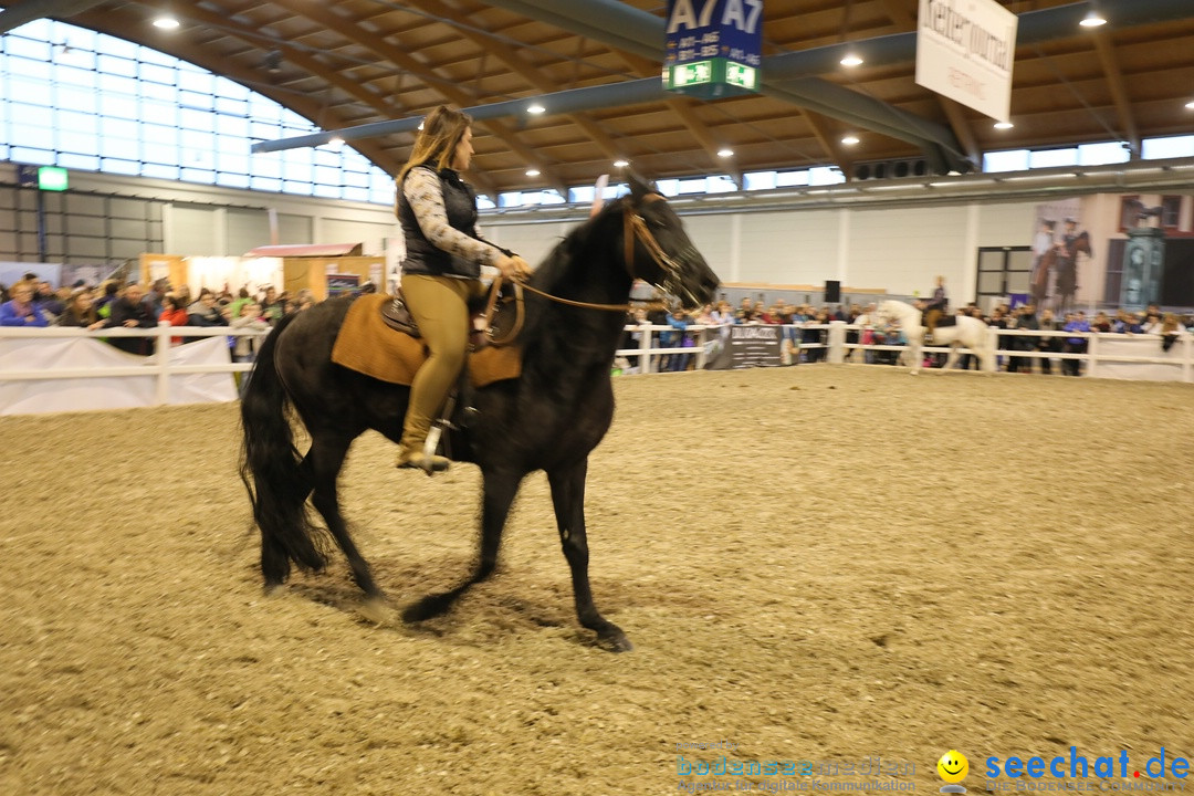 PFERD BODENSEE: Friedrichshafen am Bodensee, 17.02.2018