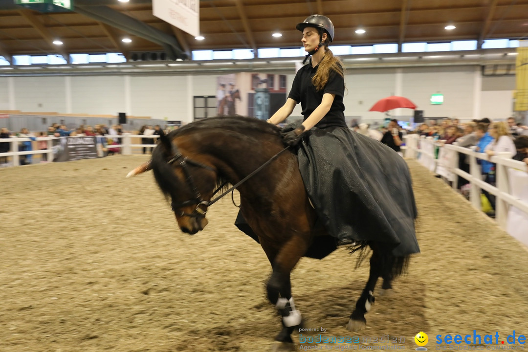 PFERD BODENSEE: Friedrichshafen am Bodensee, 17.02.2018