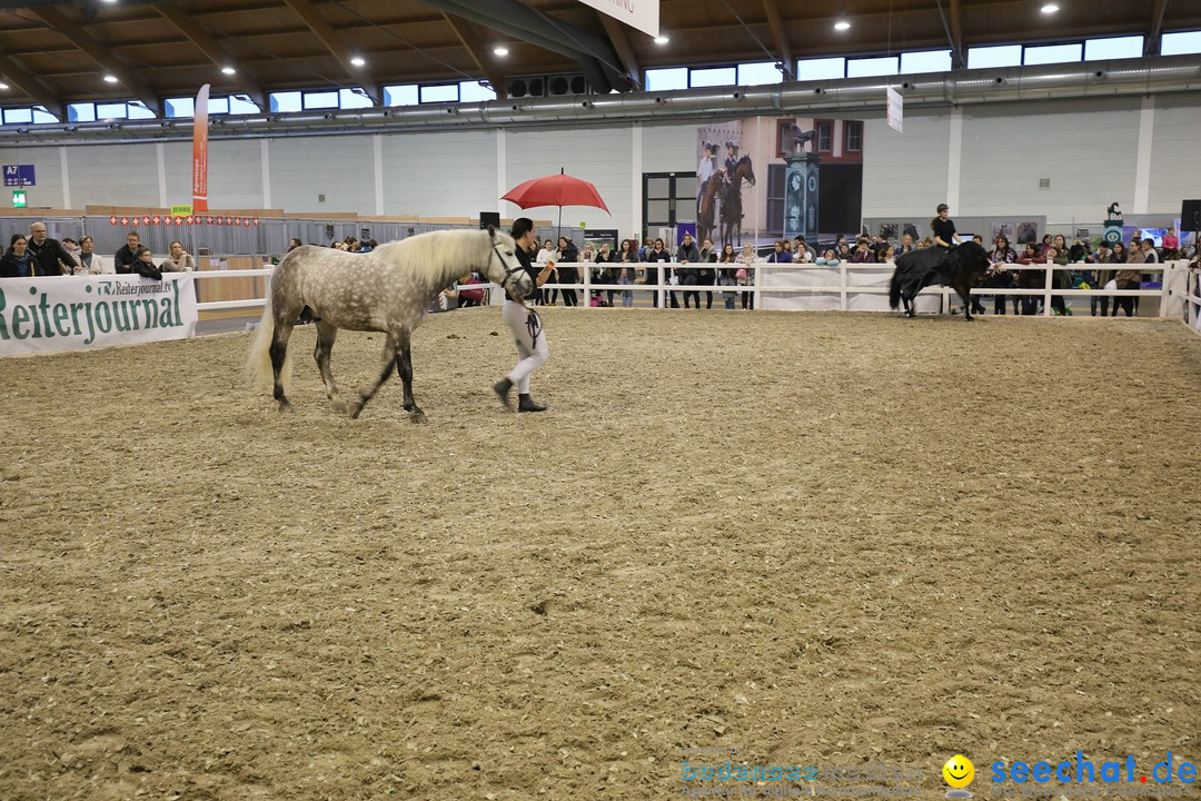 PFERD BODENSEE: Friedrichshafen am Bodensee, 17.02.2018