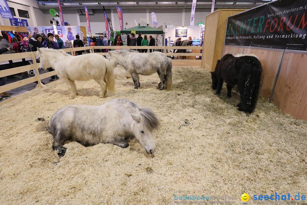 PFERD BODENSEE: Friedrichshafen am Bodensee, 17.02.2018