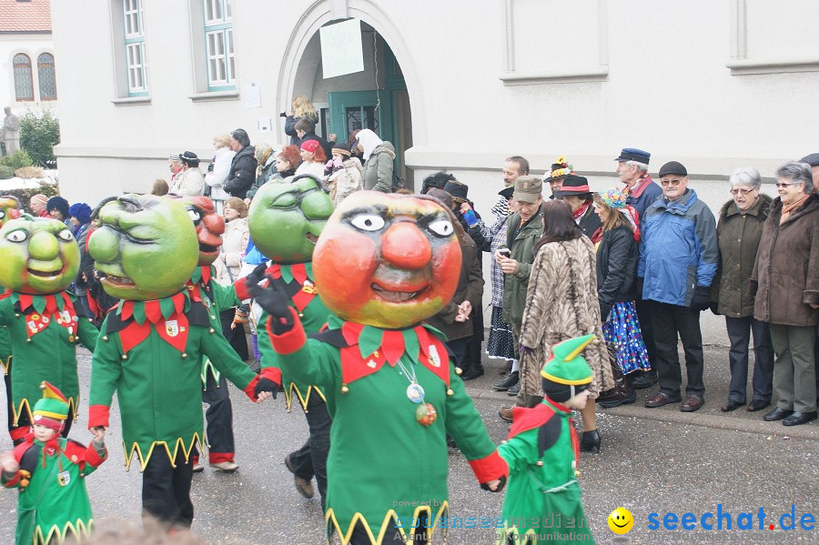 Umzug Seenarrentreffen: Liggeringen, 07.02.2010