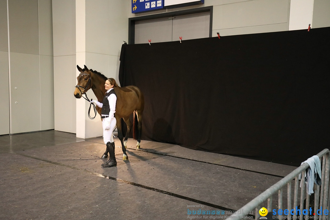 PFERD BODENSEE: Friedrichshafen am Bodensee, 17.02.2018