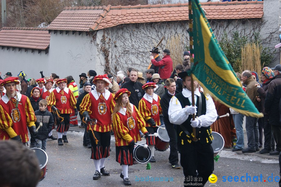 Umzug Seenarrentreffen: Liggeringen, 07.02.2010