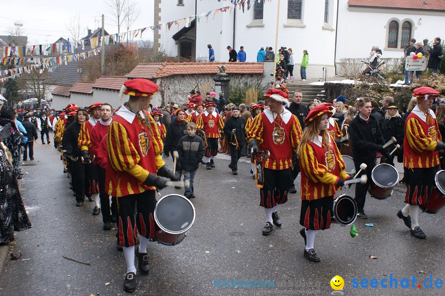 Umzug Seenarrentreffen: Liggeringen, 07.02.2010