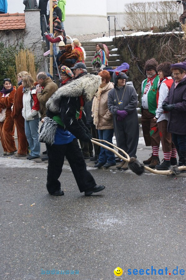 Umzug Seenarrentreffen: Liggeringen, 07.02.2010