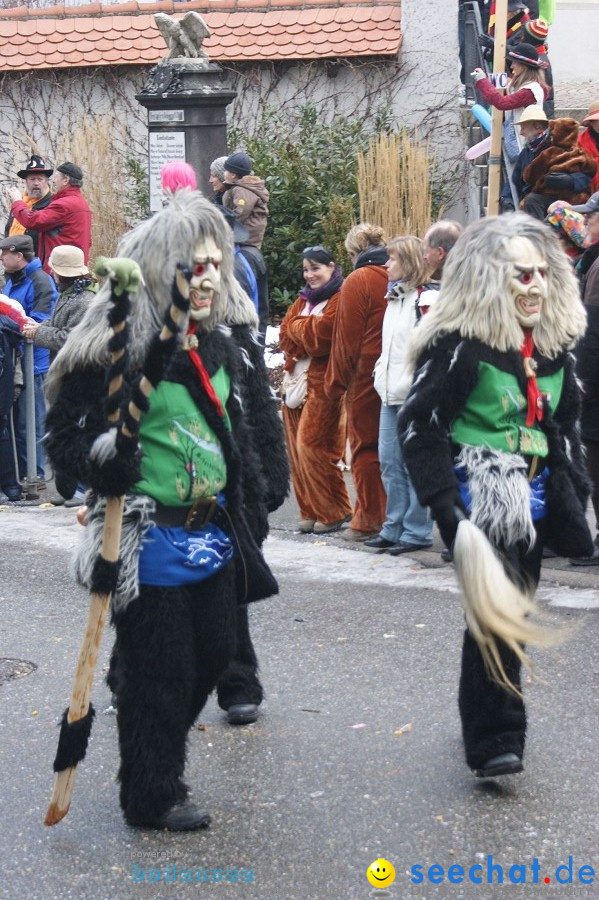 Umzug Seenarrentreffen: Liggeringen, 07.02.2010