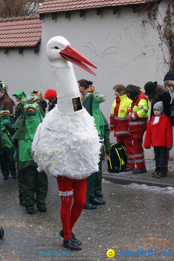 Umzug Seenarrentreffen: Liggeringen, 07.02.2010