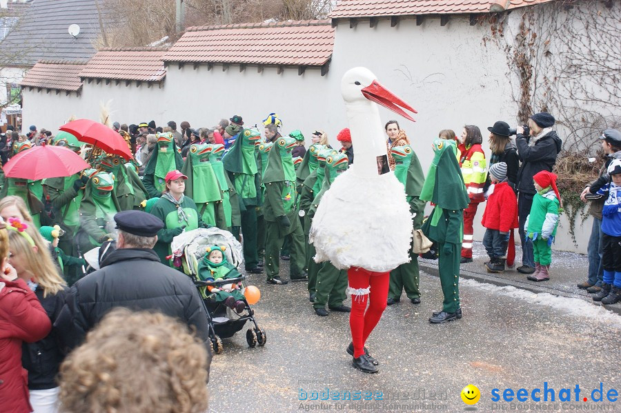 Umzug Seenarrentreffen: Liggeringen, 07.02.2010