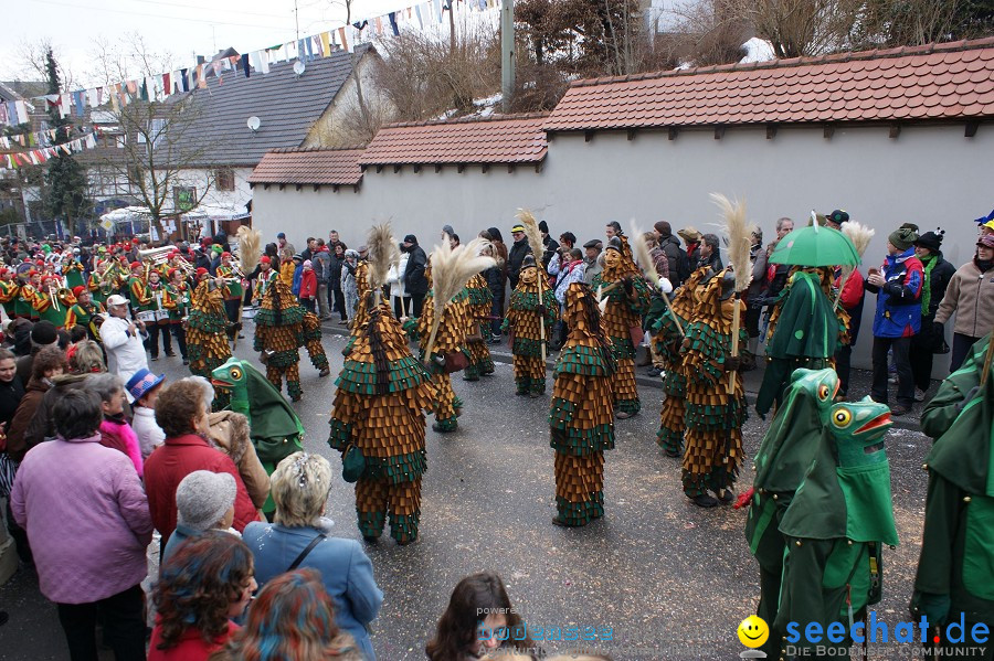 Umzug Seenarrentreffen: Liggeringen, 07.02.2010