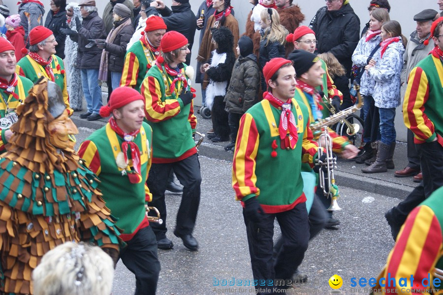 Umzug Seenarrentreffen: Liggeringen, 07.02.2010