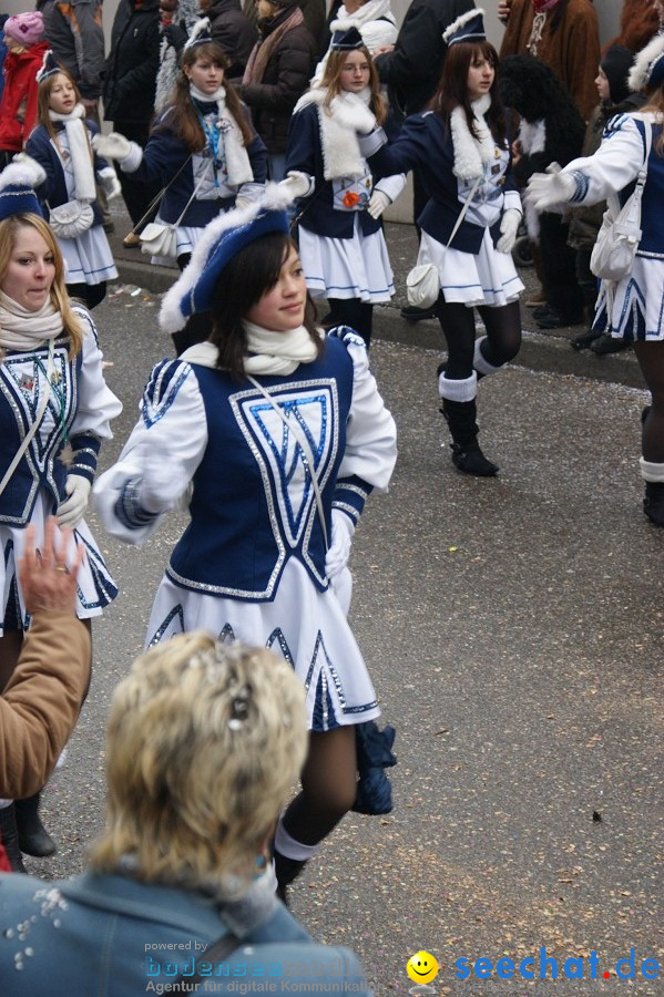 Umzug Seenarrentreffen: Liggeringen, 07.02.2010