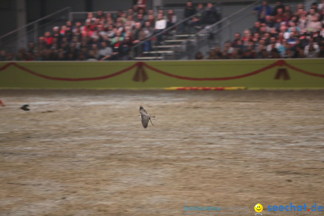 Gala-Abend - Im Takt der Pferde, PFERD BODENSEE: Friedrichshafen, 17.02.201