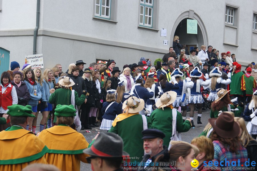 Umzug Seenarrentreffen: Liggeringen, 07.02.2010