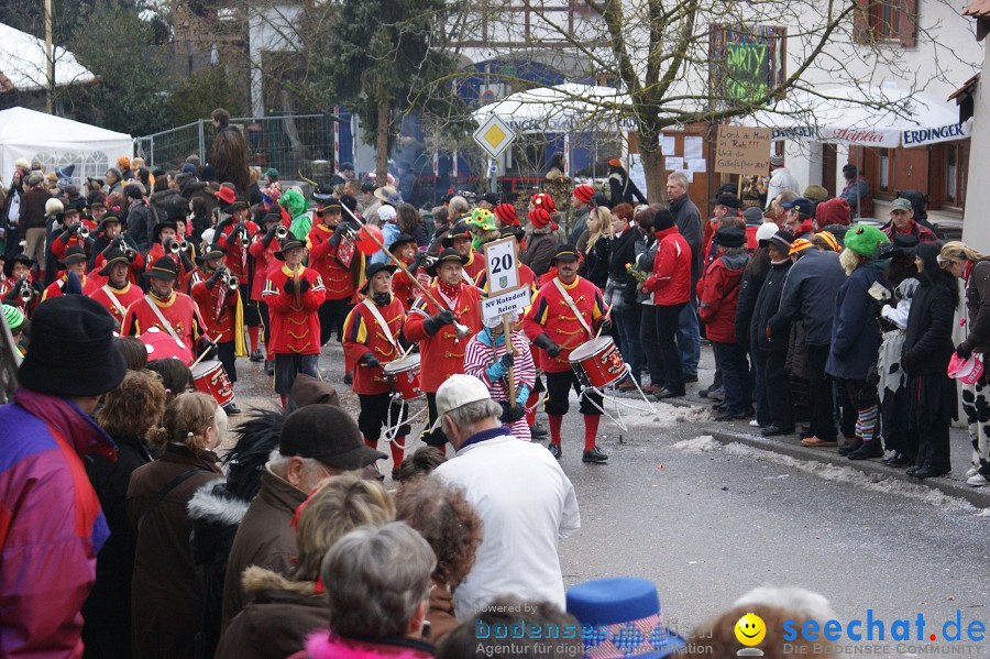 Umzug Seenarrentreffen: Liggeringen, 07.02.2010