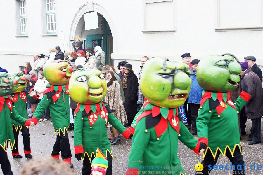 Umzug Seenarrentreffen: Liggeringen, 07.02.2010