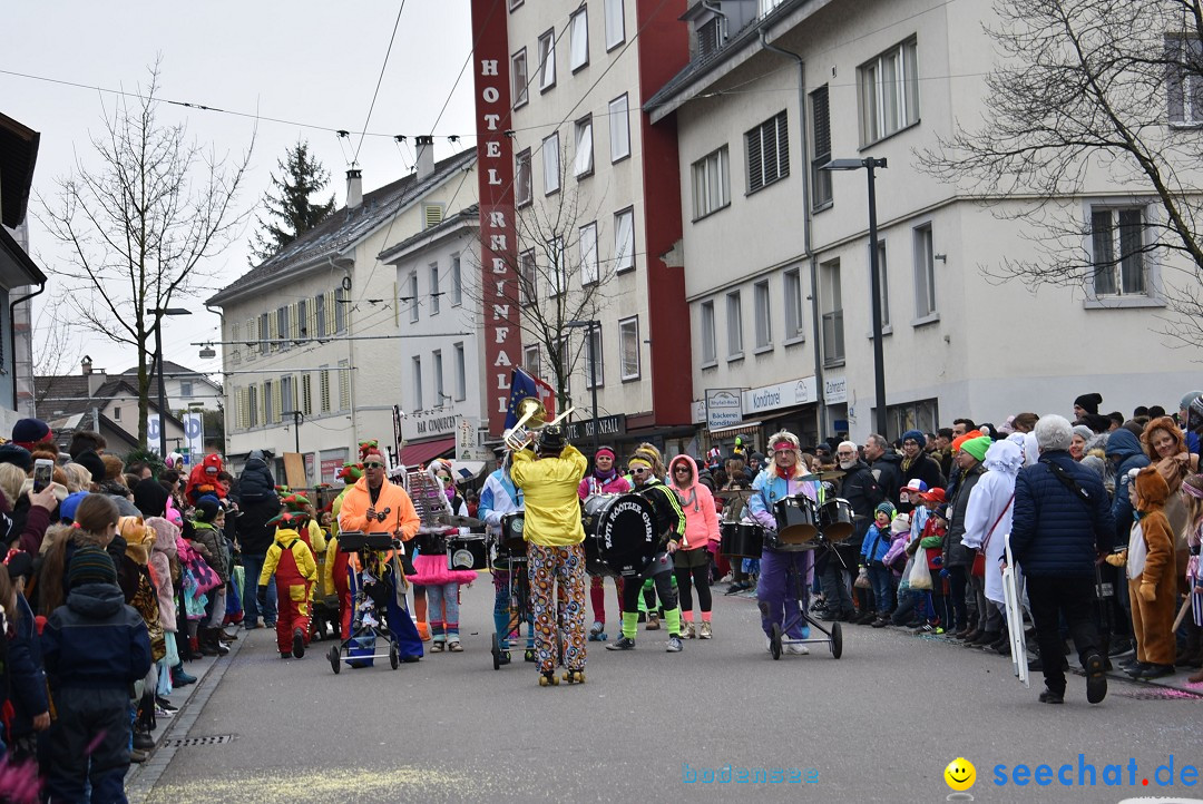 Fasnachtsumzug: Neuhausen - Schweiz, 18.02.2018