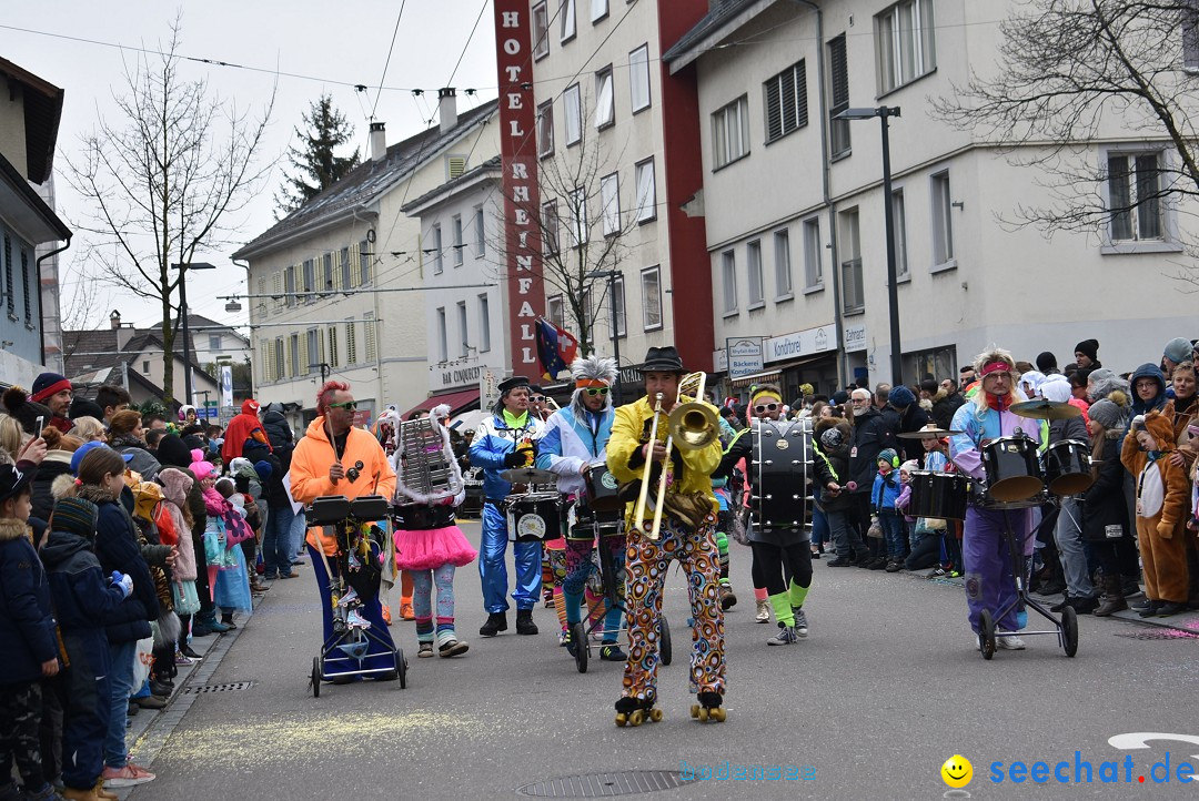 Fasnachtsumzug: Neuhausen - Schweiz, 18.02.2018