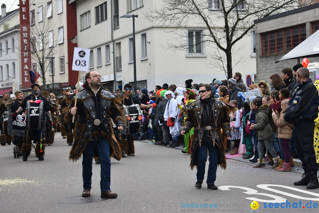 Fasnachtsumzug: Neuhausen - Schweiz, 18.02.2018