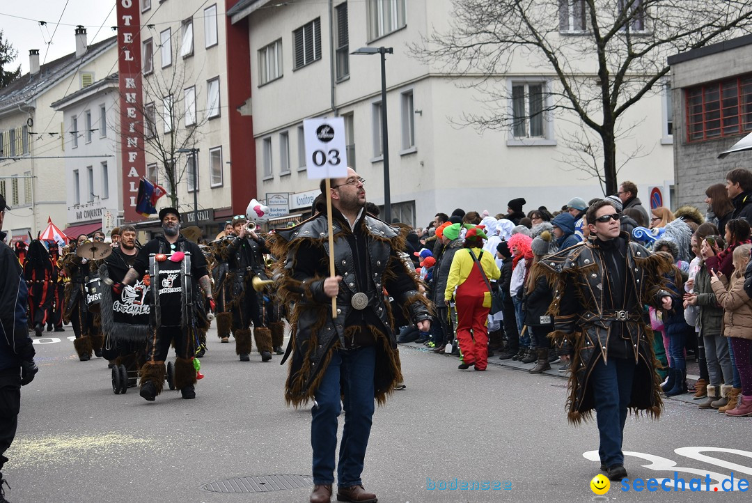 Fasnachtsumzug: Neuhausen - Schweiz, 18.02.2018